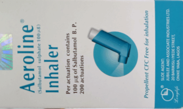 Aeroline Inhaler