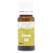 clove oil